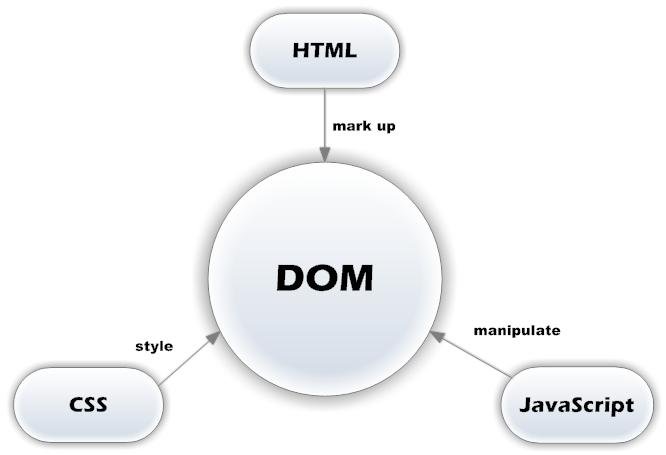 JavaScript Basics