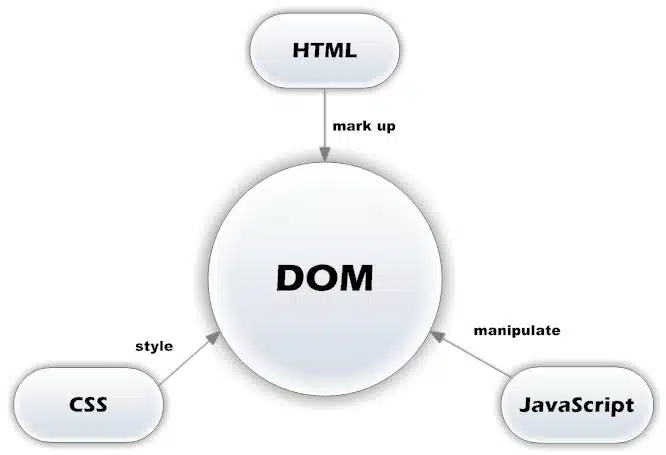 JavaScript Basics
